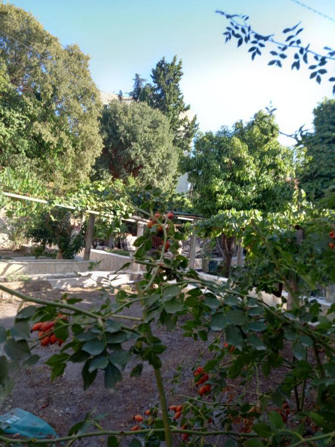 דירות דוברובניק Stone Oasis Vito מראה חיצוני תמונה